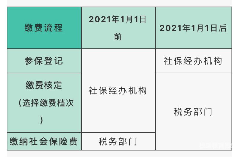 灵活就业自缴社保查询不到（灵活就业社保交费了查不到）