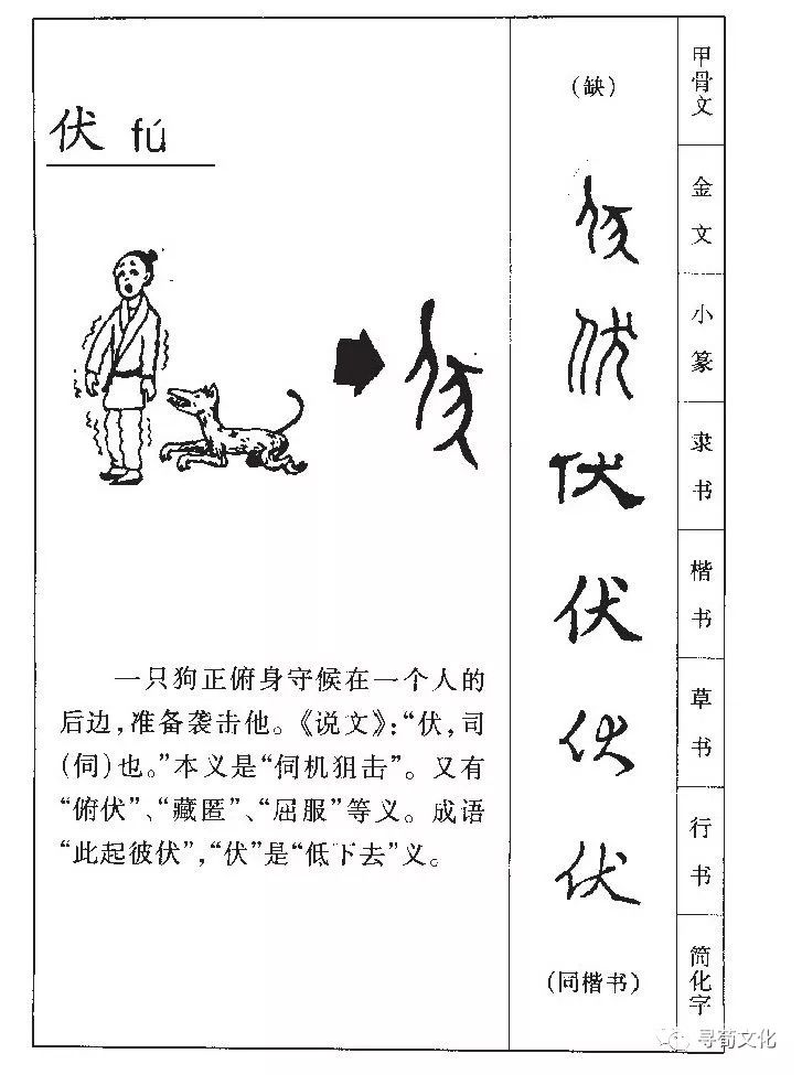 汉字与书法教案（汉字与书法知识整理）