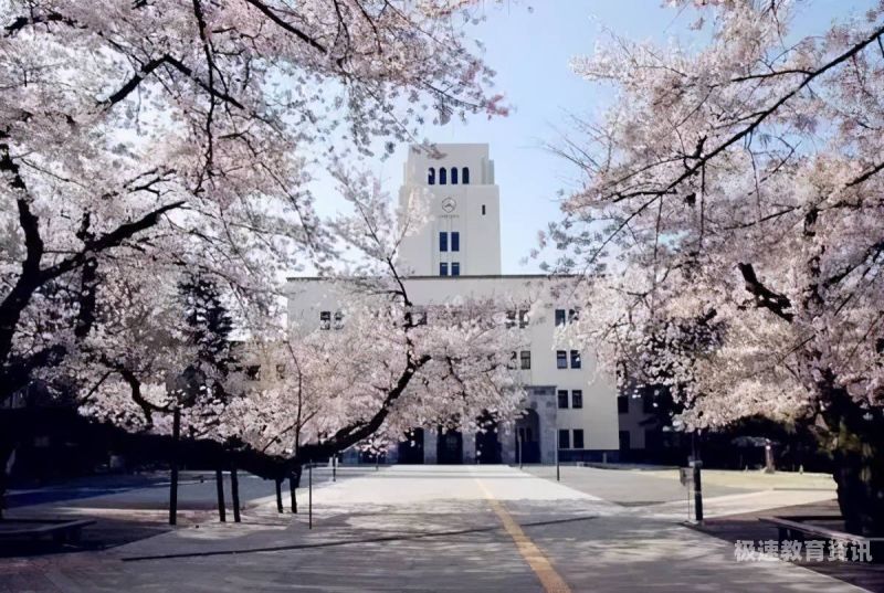 琦玉医科大学（琦玉大学相当于国内什么大学）