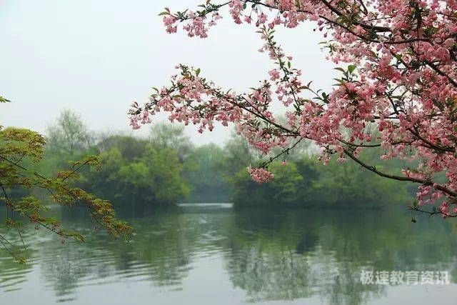 春夜绵绵情散文（春雨绵绵夜）