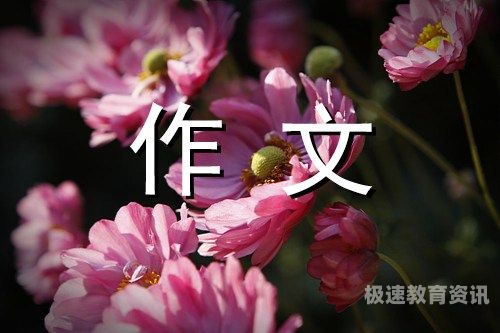 什么是靓丽的一道风景线作文（什么是一道靓丽的风景线200字）