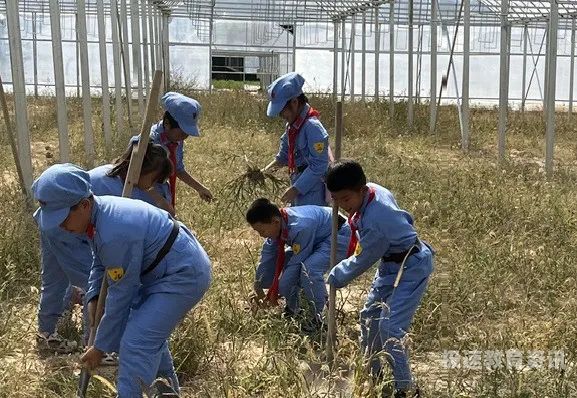 家长研学心得（家长研学心得体会300字左右）