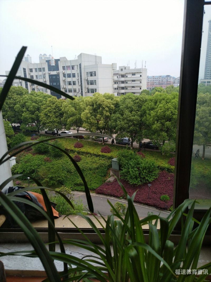 娄底市娄星区小学（娄底市娄星区小学老师杨丽红）