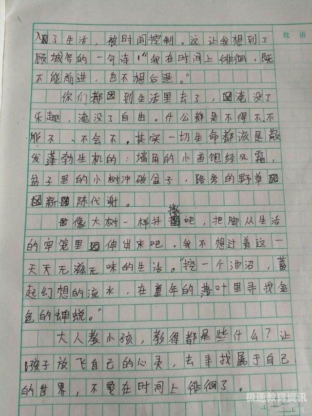 小被老师重视作文（被老师重视的孩子）