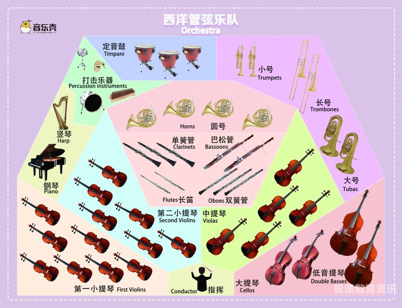 广州专业乐器学校（哪些学校开设乐器维修专业）