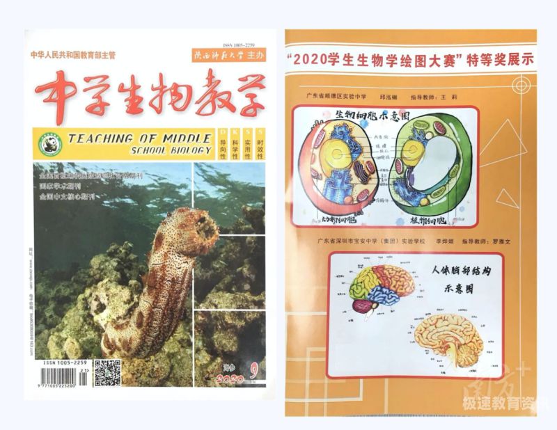 学好高中生物和地理哪个难（高中的生物和地理哪个更难学）