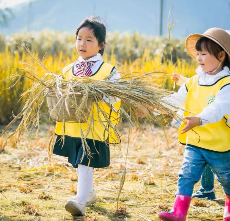 玩稻草教案大班（玩稻草大班教案反思）