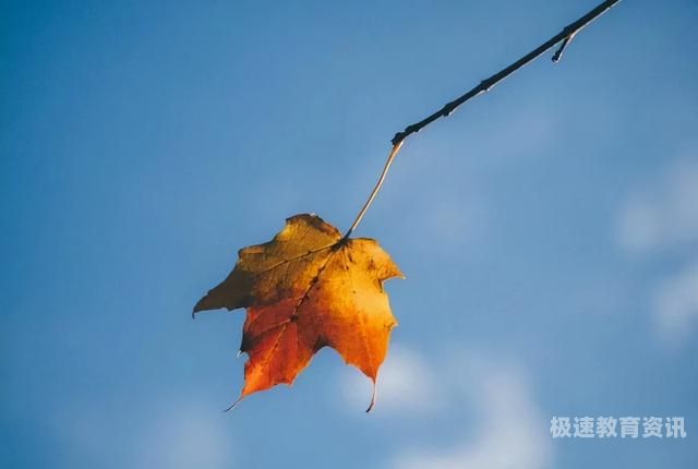 高中生静默管理（高中生静默管理心得体会）