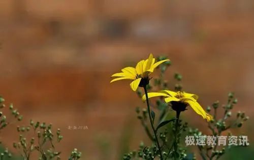 此生遇见绝非偶然散文（此生遇见绝非偶然散文名篇）