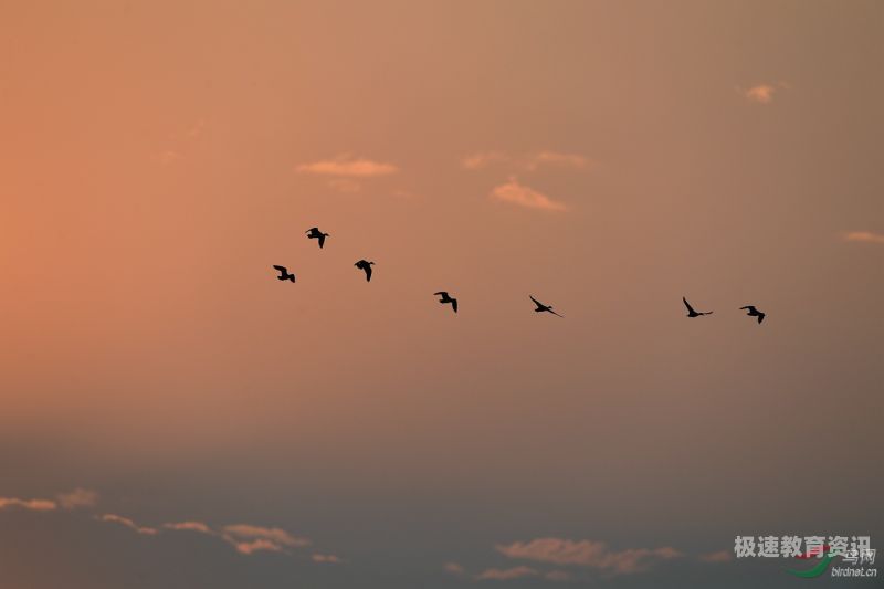 剪影夕阳散文（夕阳剪影风景）