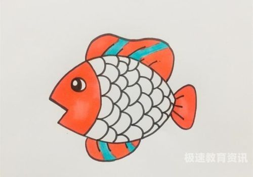 小鱼画画教案（小鱼绘画教案）