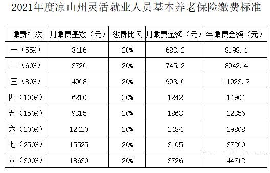 上海灵活就业人员按月缴费（上海灵活就业人员按月缴费吗）