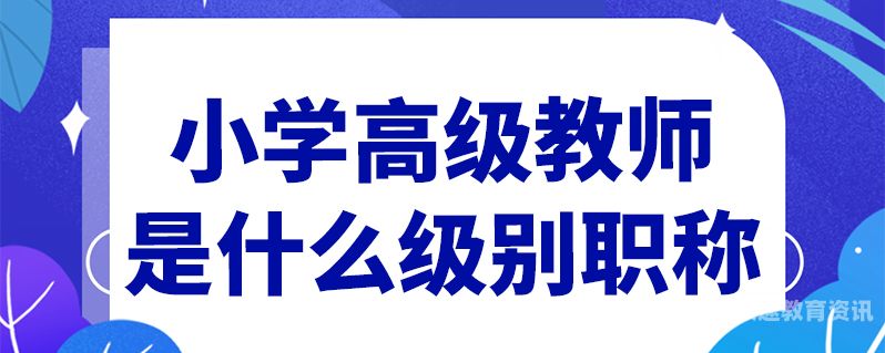 初中属于什么职称（初中是指初中毕业么）