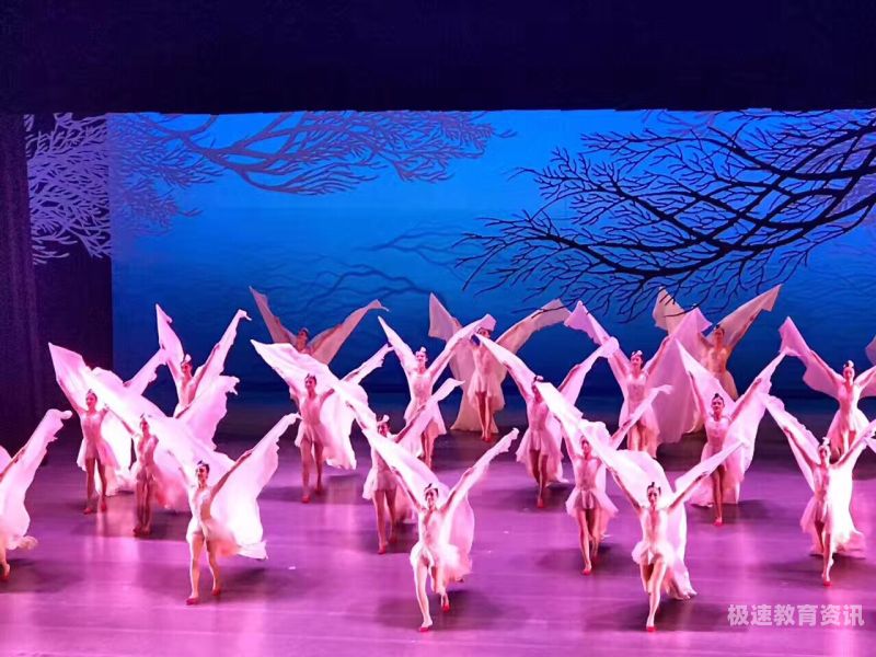 上海有什么舞蹈学院（上海什么舞蹈学院最出名）