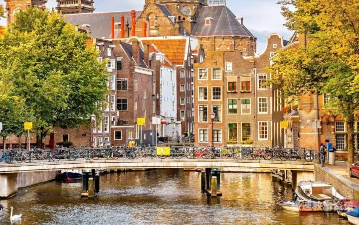 荷兰留学找工作（荷兰留学找工作容易吗）