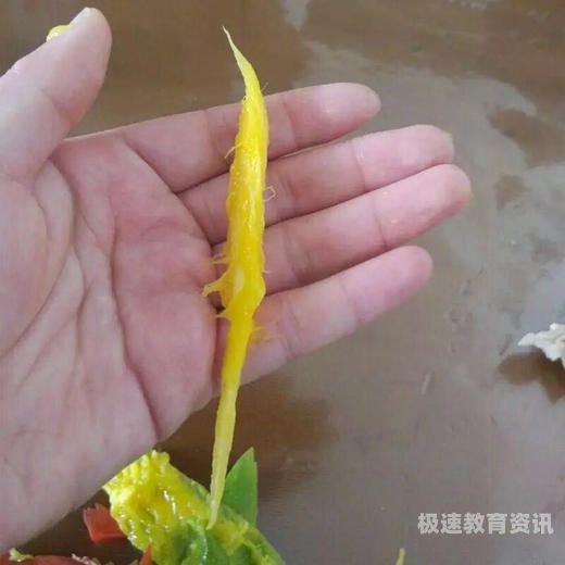 家长芒果核（芒果核怎么食用）