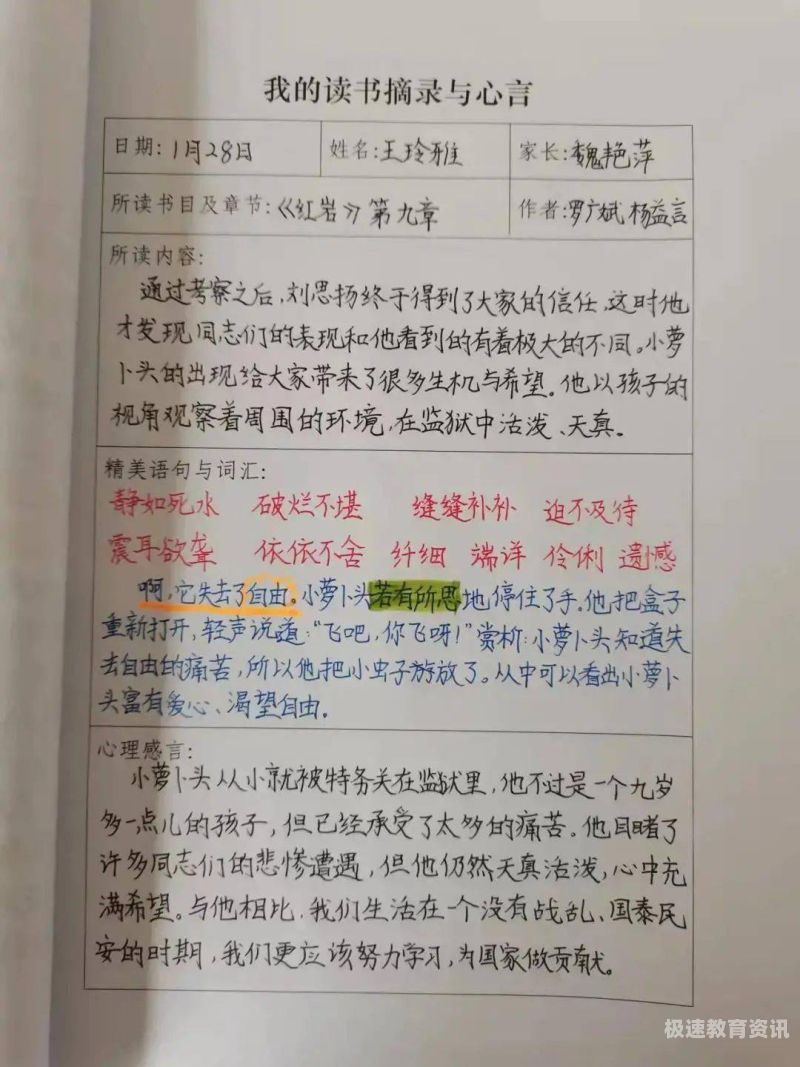 心态与环境800字作文（心态与环境800字作文怎么写）